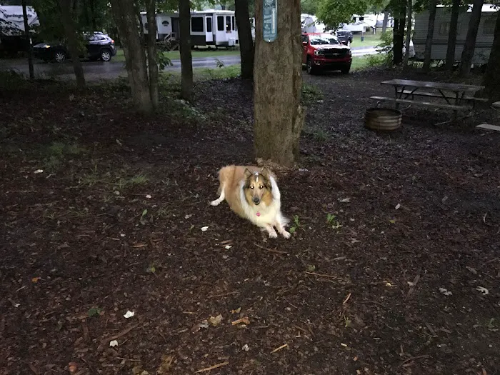 Lakes of the North Campground Picture 4