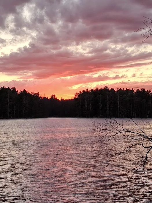 Cozy Cottage Picture 1