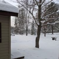 Atlanta River Cabins ico