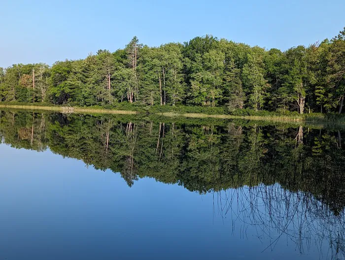 Town Corner Lake State Forest Campground Picture 6