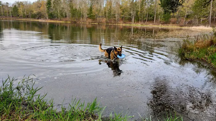 Town Corner Lake State Forest Campground Picture 7