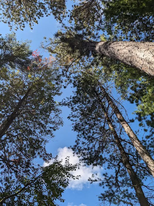 Round Lake State Forest Campground Picture 9