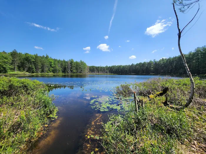 Round Lake State Forest Campground Picture 2