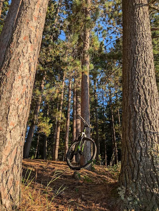 Round Lake State Forest Campground Picture 8