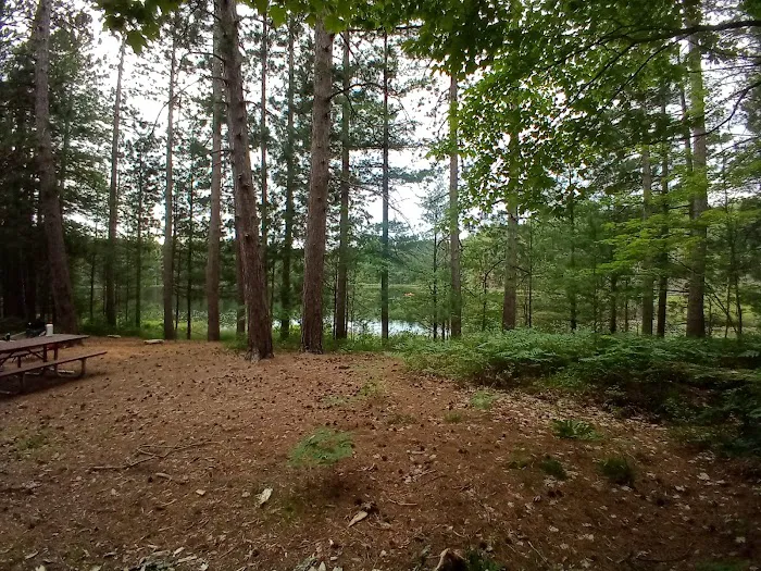 Round Lake State Forest Campground Picture 3