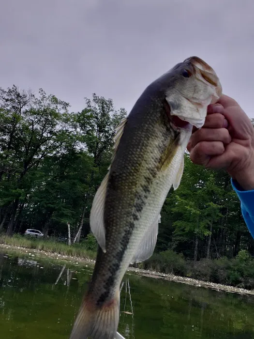 Jackson Lake State Forest Campground Picture 6