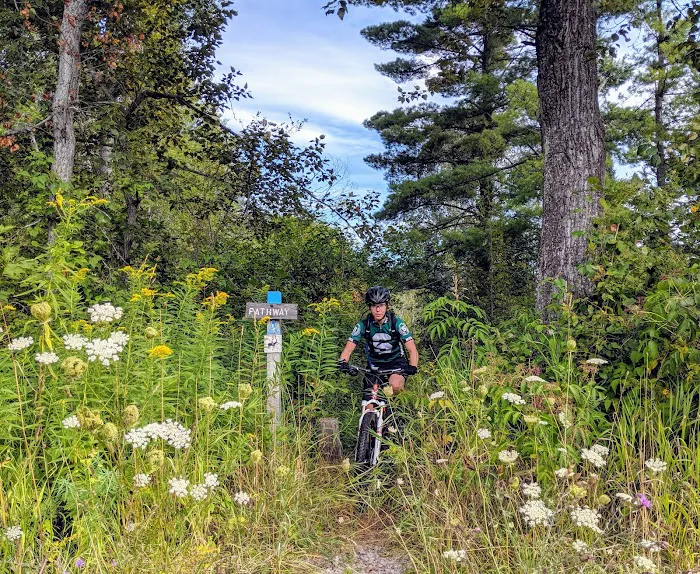 Pigeon Bridge State Forest Campground Picture 3