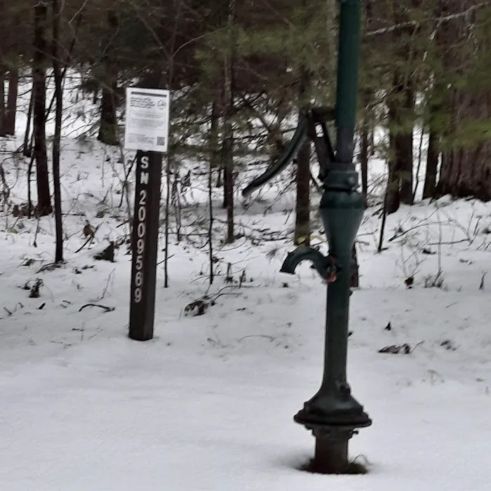 Pigeon Bridge State Forest Campground Picture 7