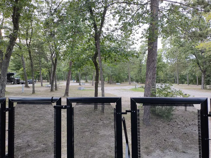 Clear Lake State Campground Picture 9