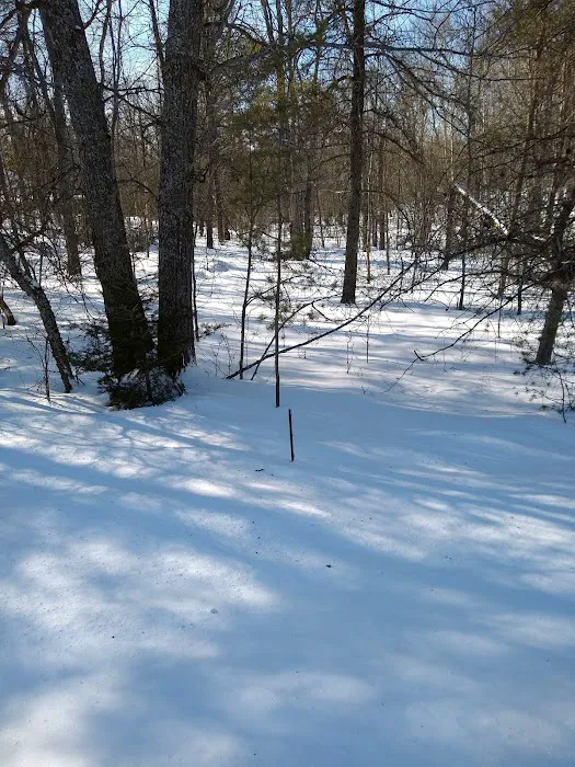 Ess Lake State Forest Campground Picture 3