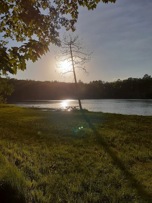 Ess Lake State Forest Campground Picture 4