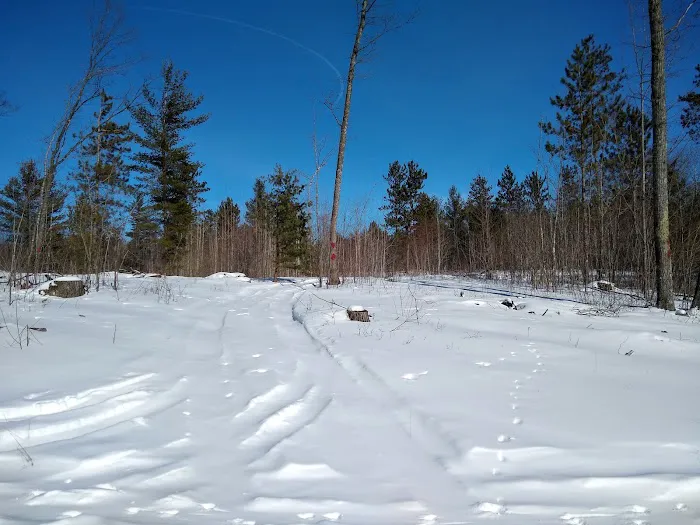 Ess Lake State Forest Campground Picture 6