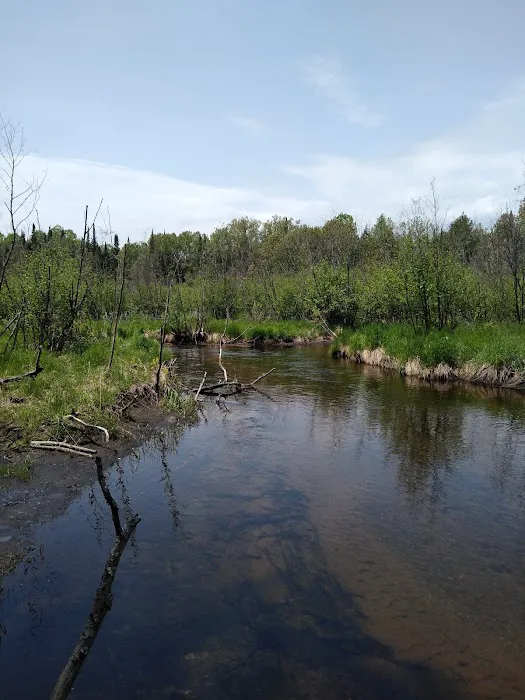 Pine River National Forest Campground Picture 6