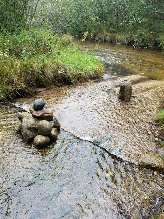 Pine River National Forest Campground Picture 4