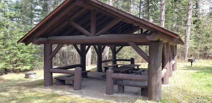 Pine River National Forest Campground Picture 5