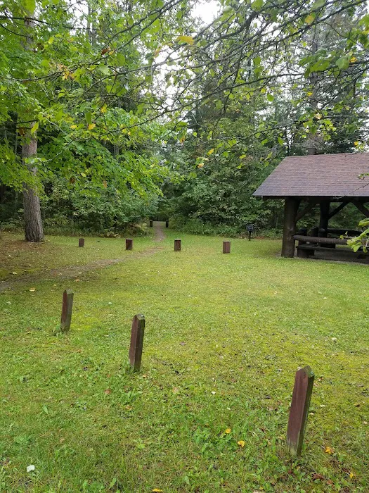 Pine River National Forest Campground Picture 2