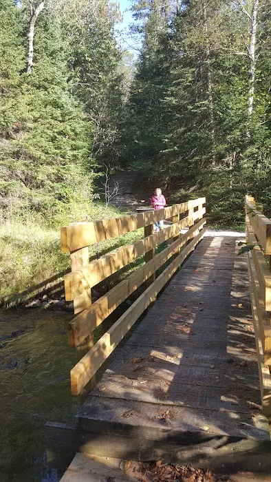 Pine River National Forest Campground Picture 10