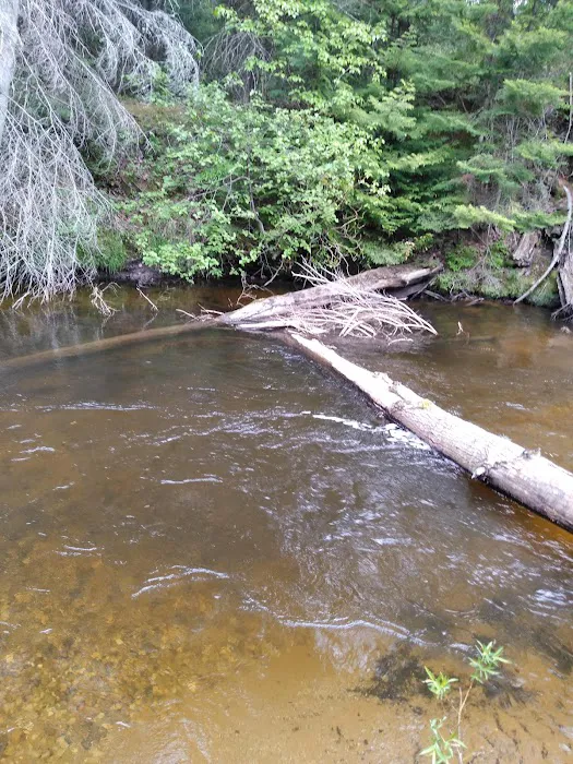 Pine River National Forest Campground Picture 7