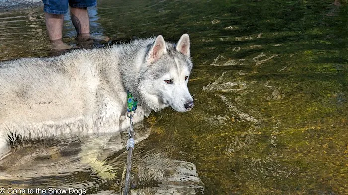 Indian Reserve Campground Picture 2