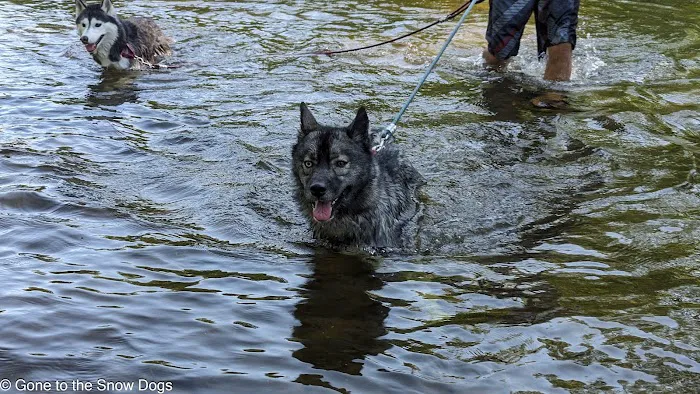 Indian Reserve Campground Picture 8
