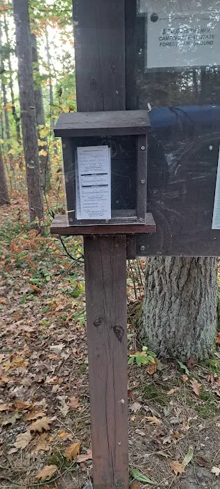 Indian Reserve Campground Picture 9