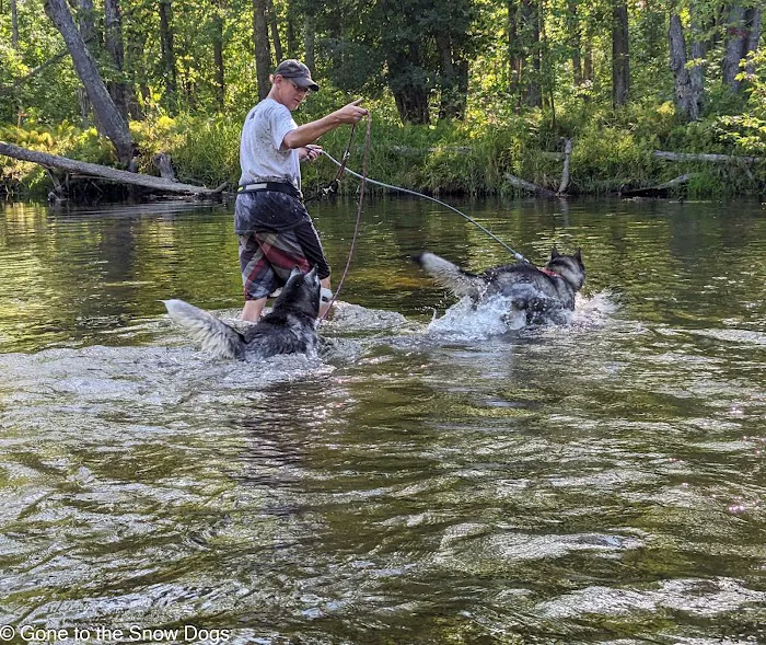 Indian Reserve Campground Picture 7