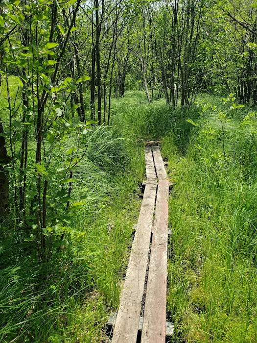 Camp 437, Private Camp Picture 3