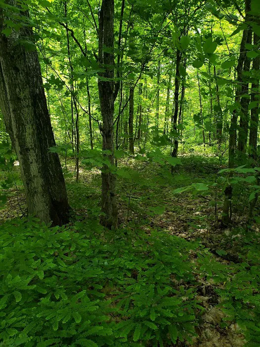 Camp 437, Private Camp Picture 4