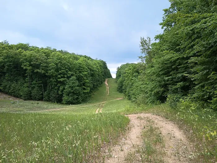 Smerczak Property Picture 1