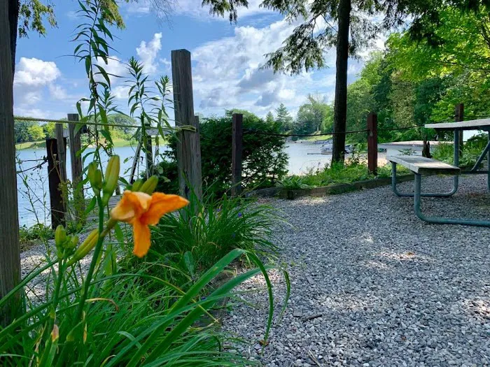 Holiday RV Park & Campground Picture 4