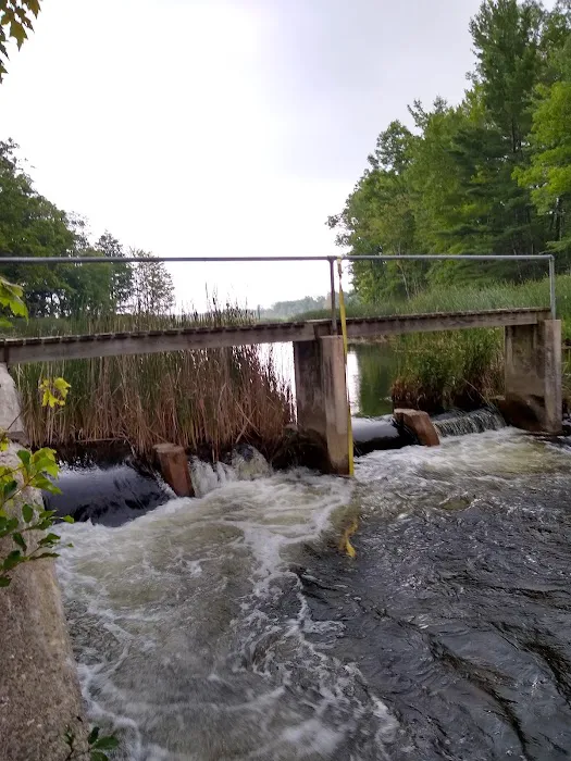 Grass Lake State Forest Campground Picture 1