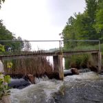 Grass Lake State Forest Campground
