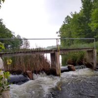 Grass Lake State Forest Campground ico