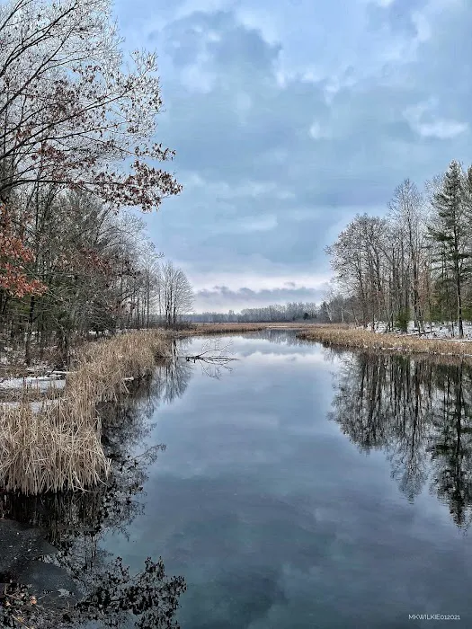 Grass Lake State Forest Campground Picture 9