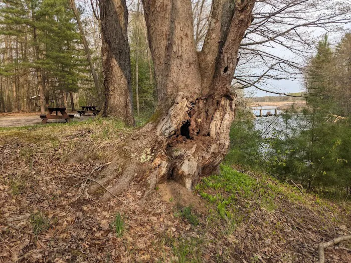 Grass Lake State Forest Campground Picture 10