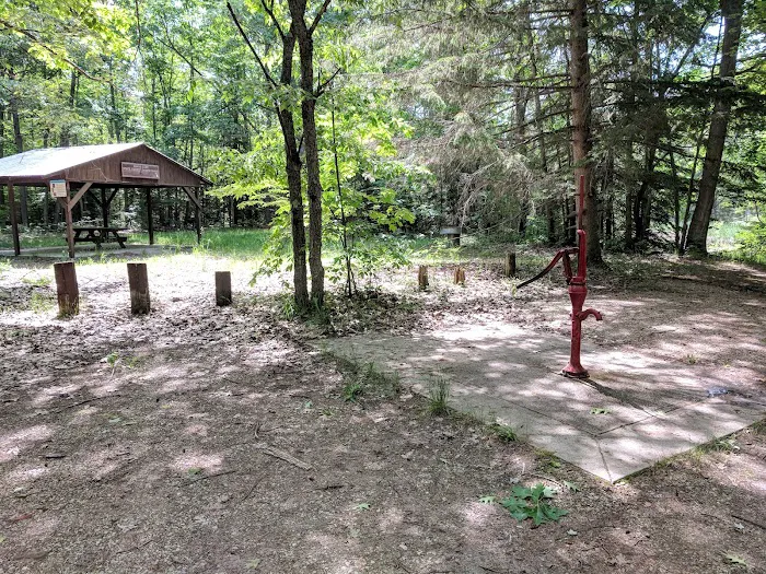 Grass Lake State Forest Campground Picture 3