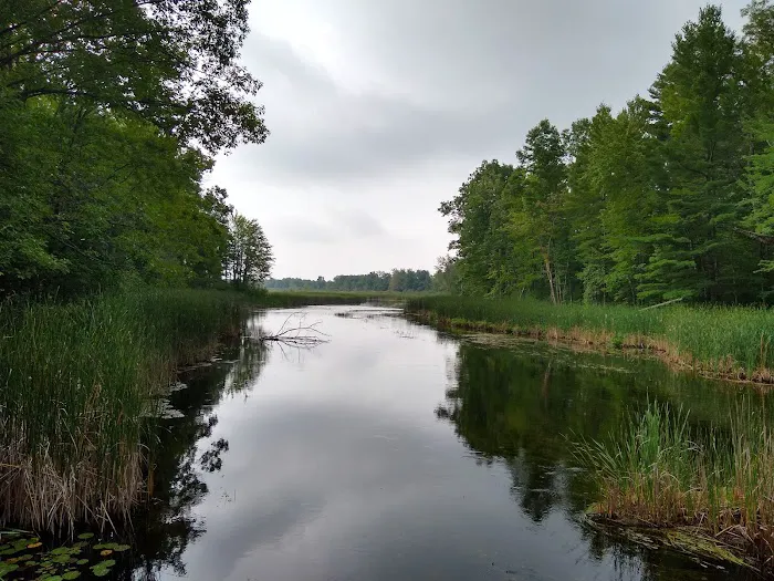 Grass Lake State Forest Campground Picture 4