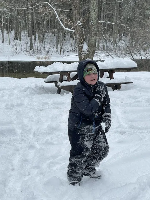 Grass Lake State Forest Campground Picture 5