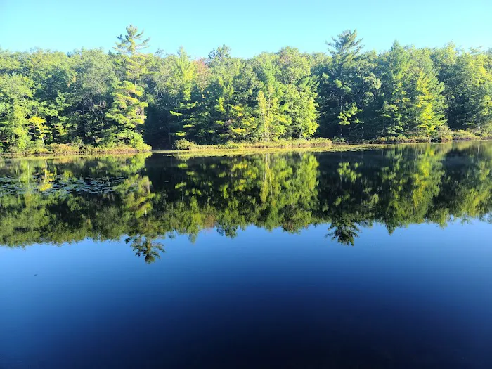 Lake Dubonnet State Forest Campground Picture 2
