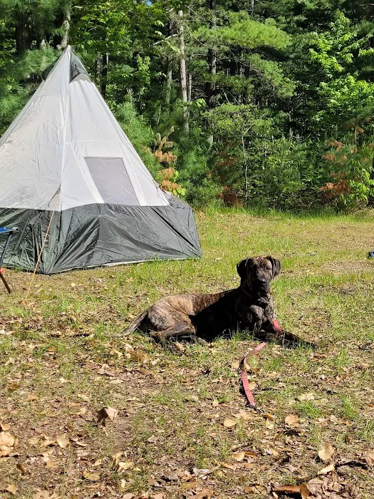 Lake Dubonnet State Forest Campground Picture 5