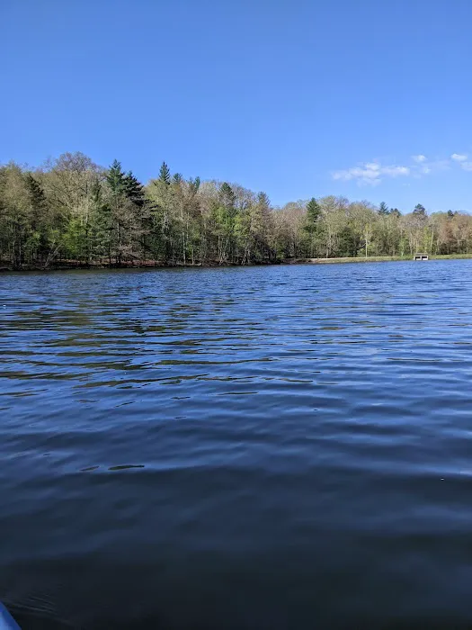 Lake Dubonnet State Forest Campground Picture 4