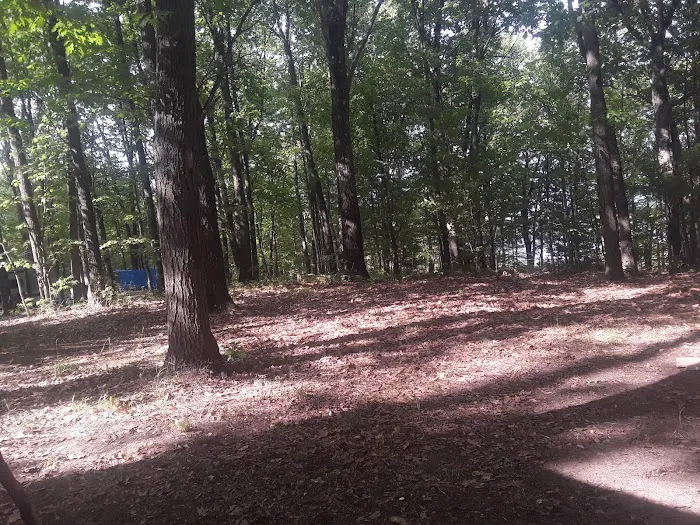 Lake Dubonnet State Forest Campground Picture 7