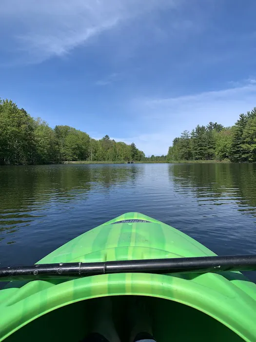 Lake Dubonnet State Forest Campground Picture 8