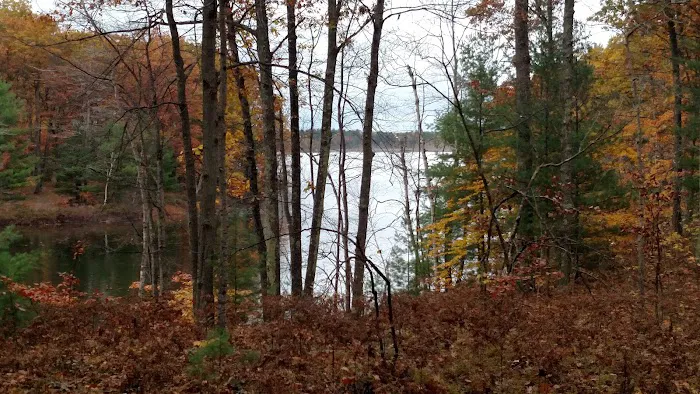 Lake Dubonnet State Forest Campground Picture 9