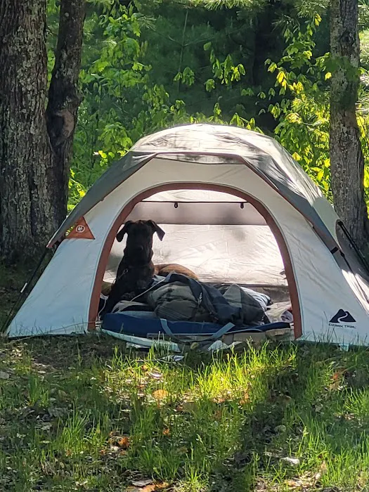 Lake Dubonnet State Forest Campground Picture 6