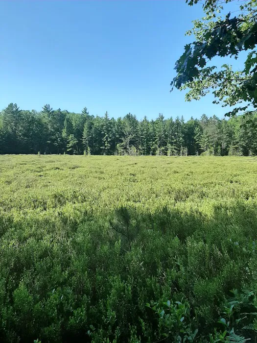 Lake Dubonnet Trail Camp Picture 2