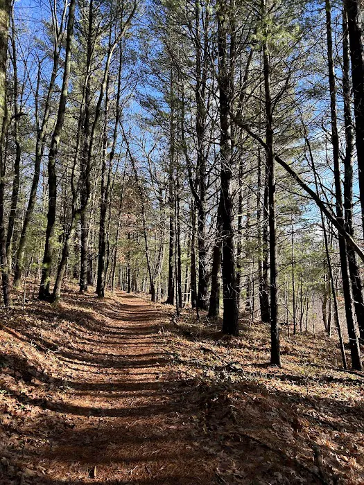 Lake Dubonnet Trail Camp Picture 5