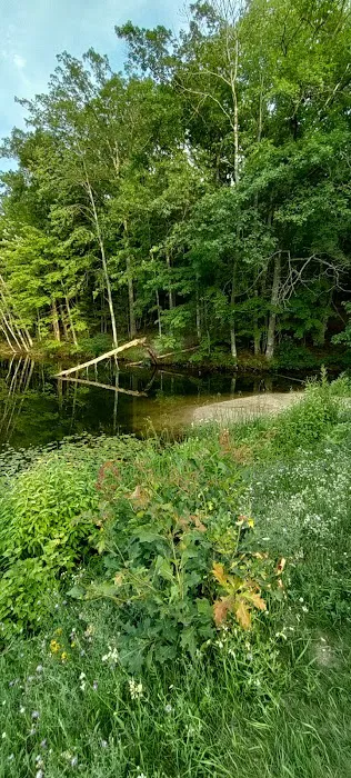 Lake Dubonnet Trail Camp Picture 7