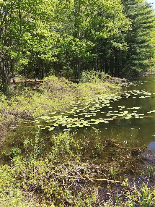 Lake Dubonnet Trail Camp Picture 9