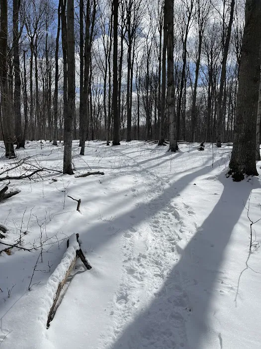 Charlevoix County Whiting Park Picture 7